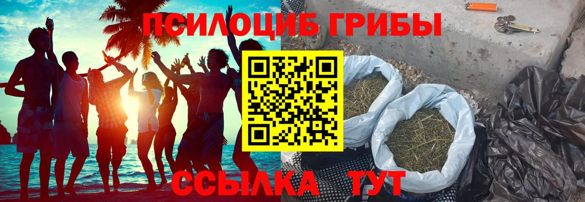 Корсаков  Галлюциногенные грибы GOLDEN TEACHER  Вход с VPN  Галлюциногенные грибы мицелий 